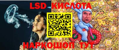 стаф Боровичи