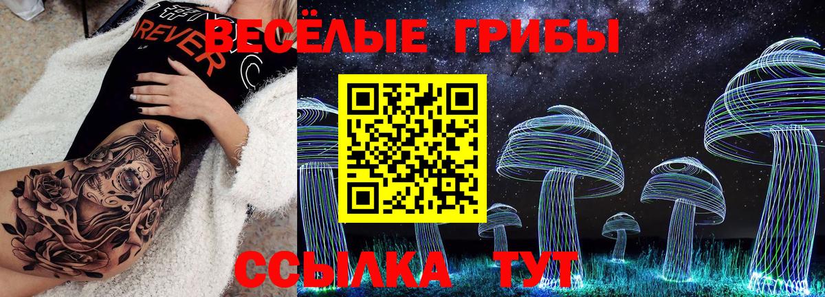 Псилоцибиновые грибы Psilocybe Воткинск