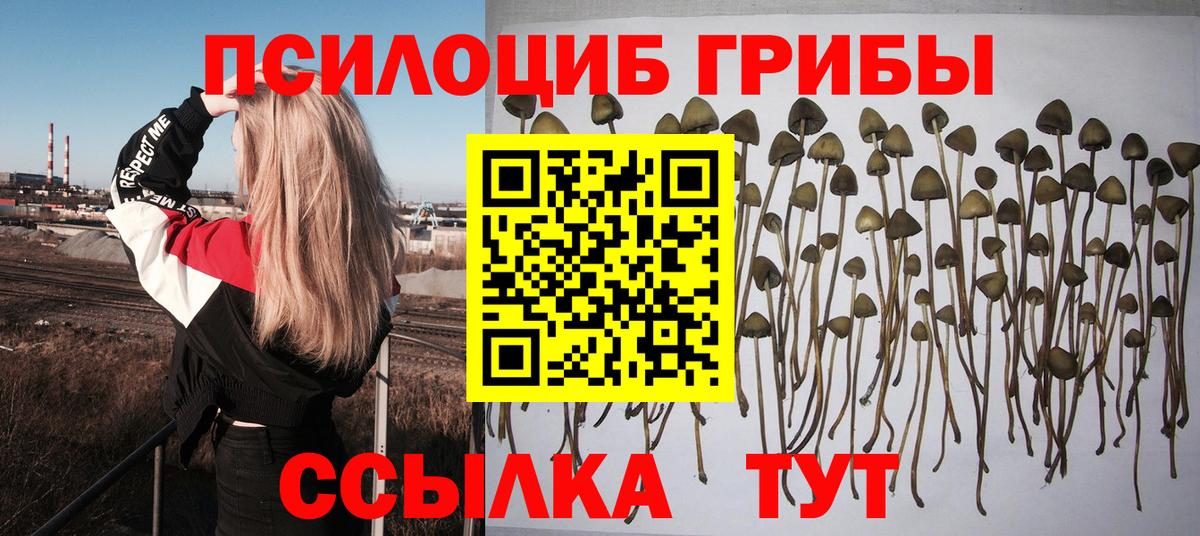 Галлюциногенные грибы прущие грибы  Вход с VPN  Воткинск  Галлюциногенные грибы MAGIC MUSHROOMS 
